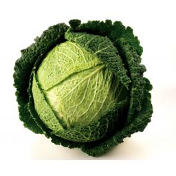 Savoy-Cabbage.jpg