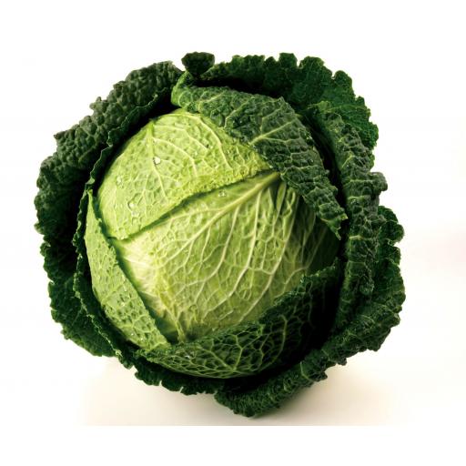 Savoy-Cabbage.jpg